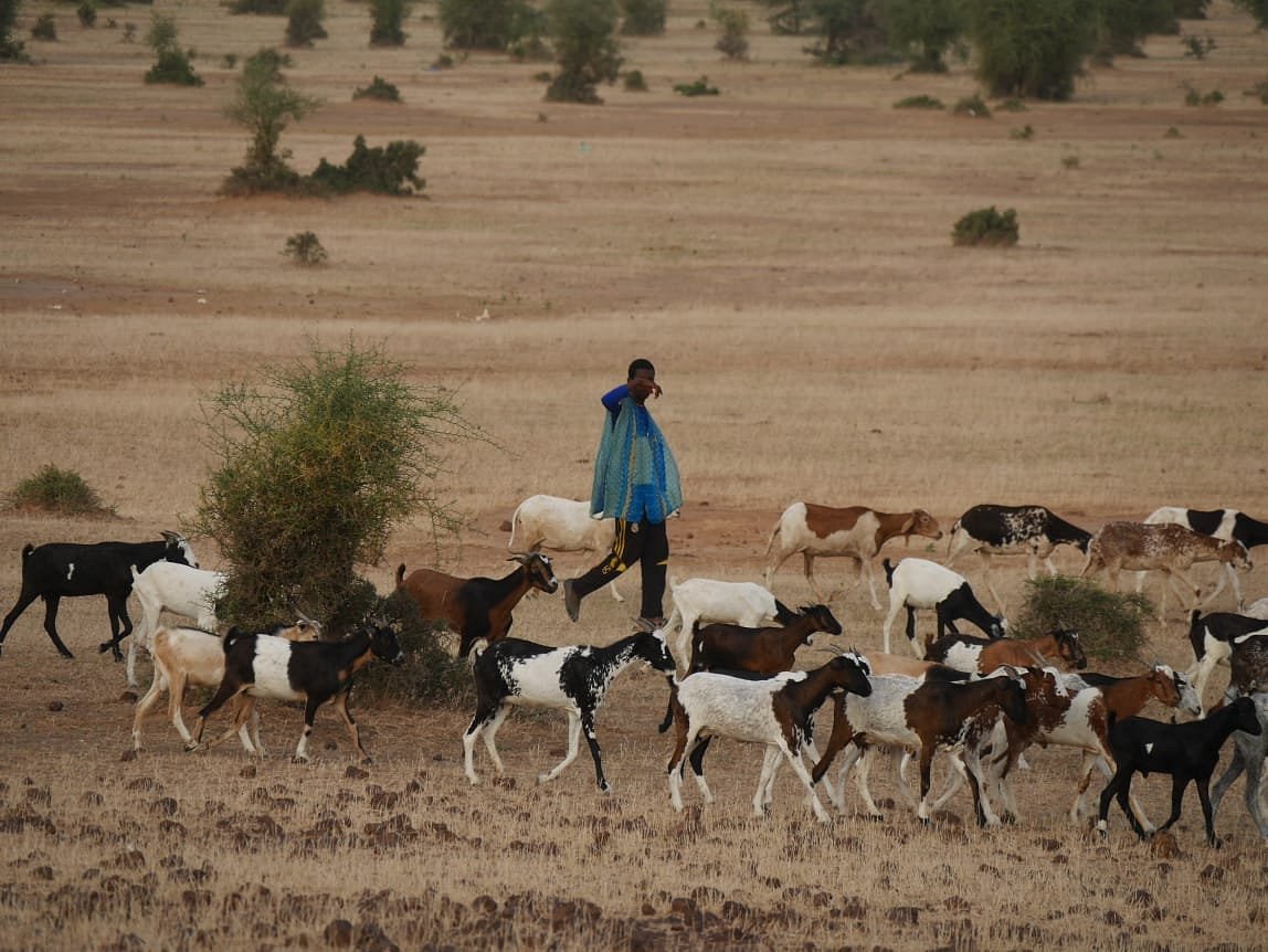 Excursión de un día: Marrakech – Cascadas de Ouzoud