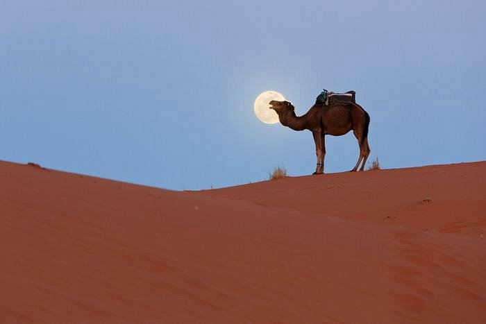 3-Tage-Tour: Zagora – M’Hamid