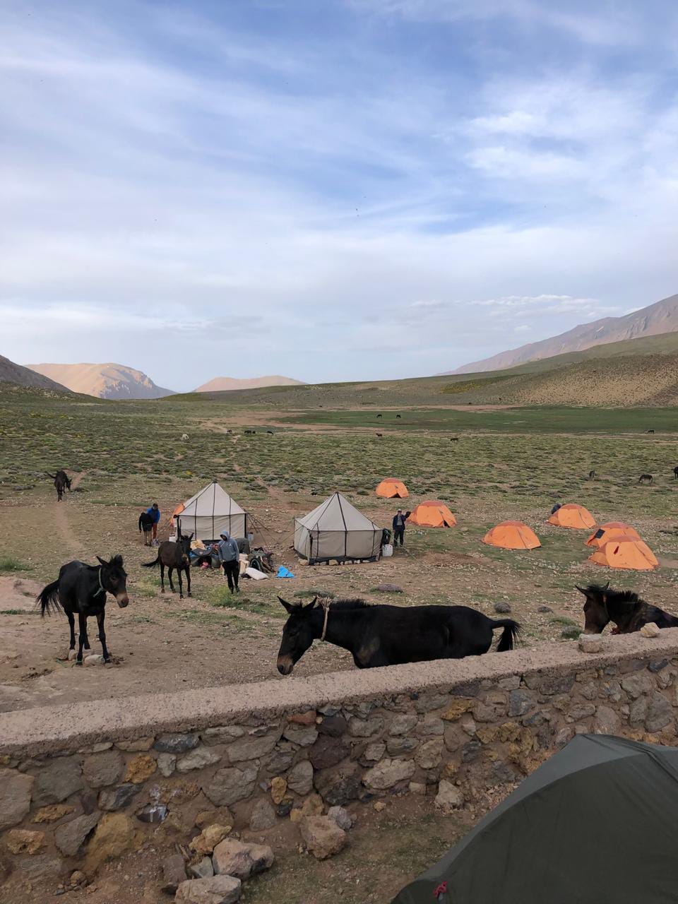 塔夫拉乌特