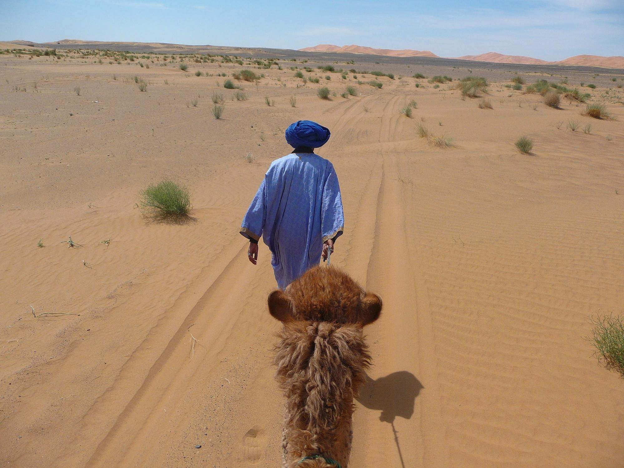 Yahia Day Tours