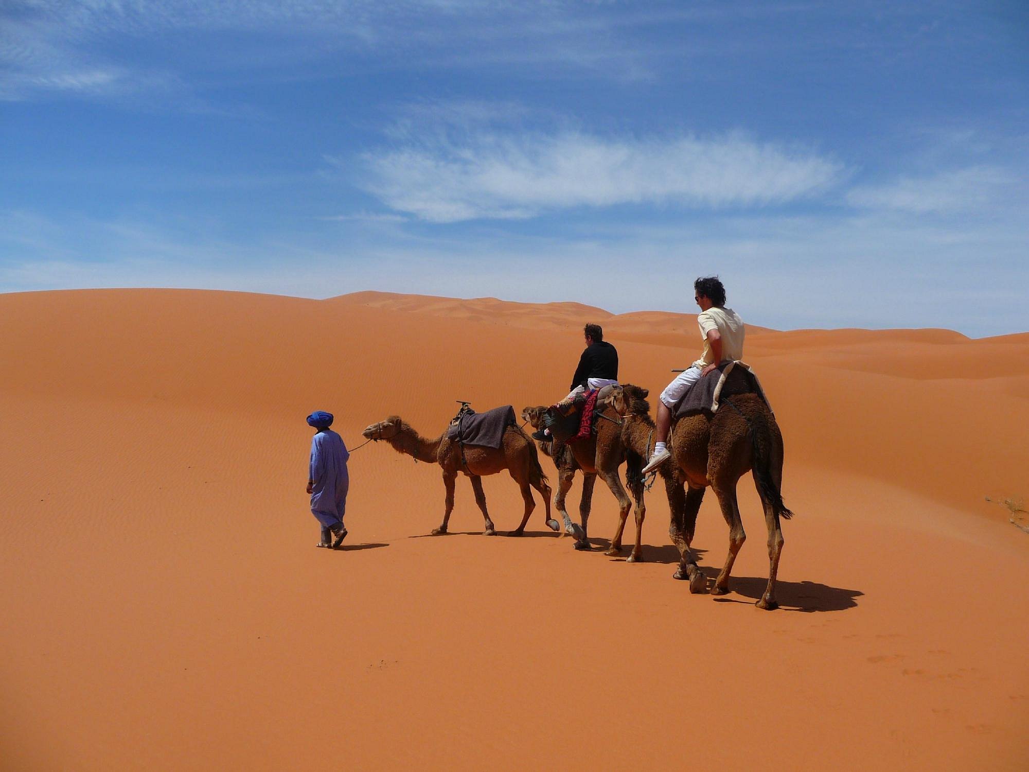 Yahia Day Tours