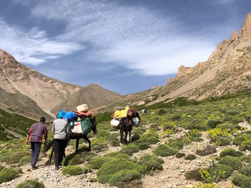 Excursion d’un jour : Marrakech – Imlil