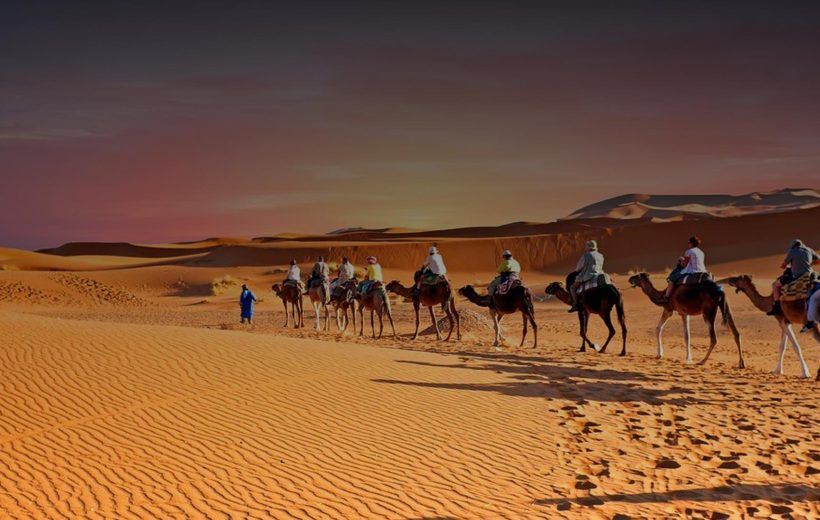 Meharis – 5 jours à dos de chameau Zagora – Mhamid