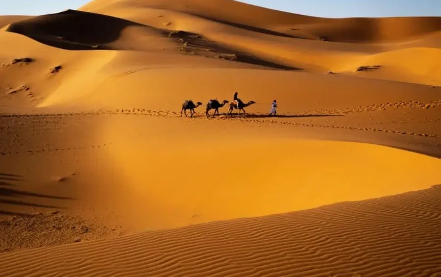 Desert Morocco