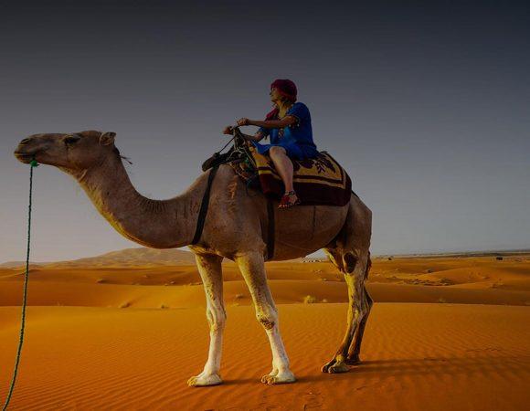 Meharis – 5 days Camel riding M’hamid
