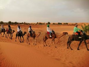 Excursión de 7 días por el desierto desde Agadir