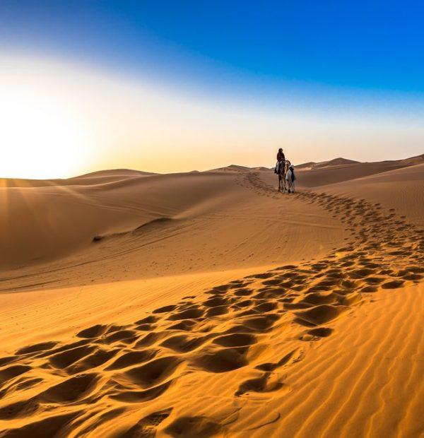 6 Days Desert Tour From Casablanca