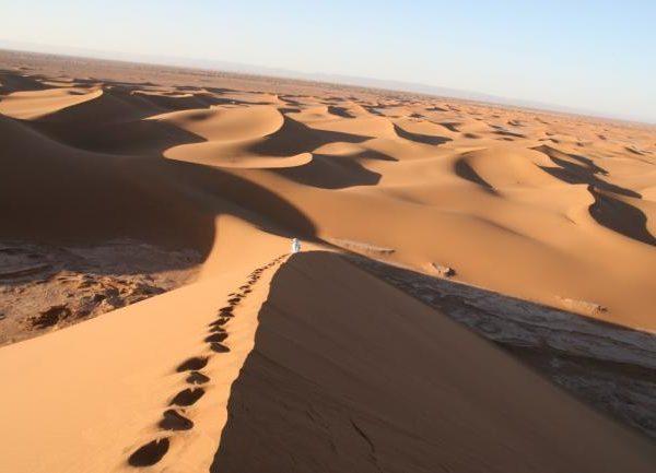 7 Days Desert Tour From  Casablanca