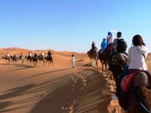 Meharis - 5 días de cabalgata en camello Zagora - Mhamid