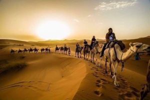 Meharis – 5 Days Camel riding Zagora – Mhamid