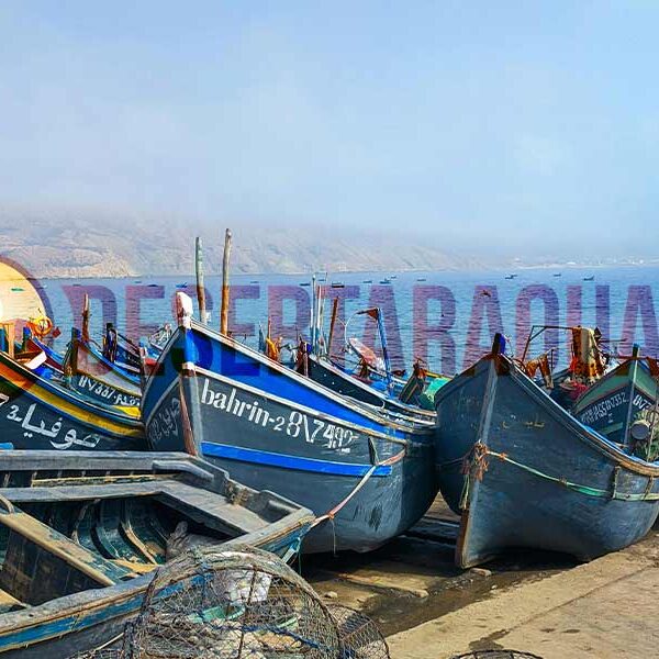 Excursión de un día a Agadir